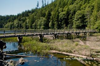 A small foot bridge which crosses the southern portion of the lake. It was actually quite long.