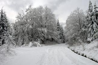 The road offered many snow filled aventures to chose from.