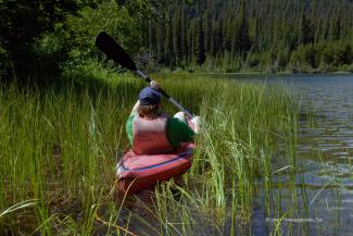 Ethan making his way through the reeds.
