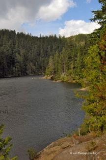 A north-westerly view looking back towards the area closest to the parking lot.