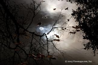 This reflection was one of the most interesting I saw this morning.