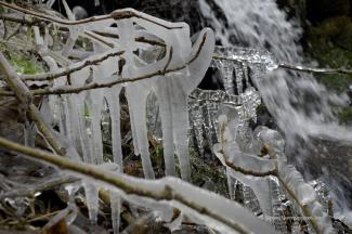 Some of the many icicles along the streamlets we crossed.