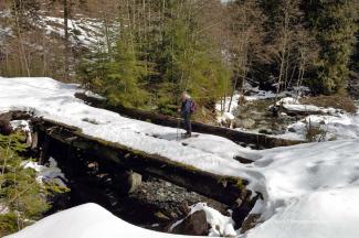 One well decayed bridge. You really had to watch your step in the snow.