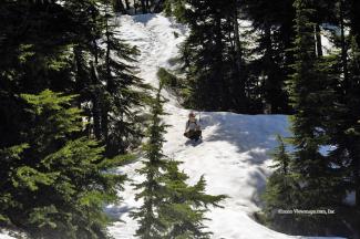 geoff looking over the quality and depth of the snow pack