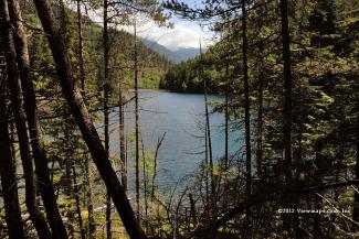 Looking south along Brohm Lake