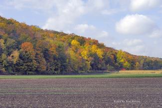 Niagara Escarpment near Winona