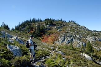 Ralph looking back for a last view of the Summit of Zoa