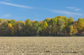 The colours were really popping out in this scene
