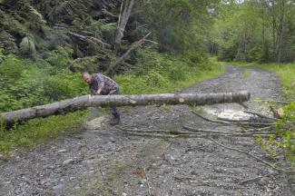 Geoff clearing the road