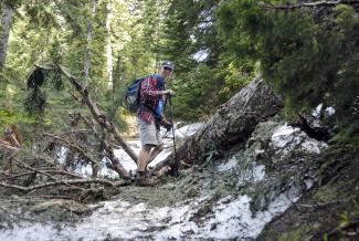 Crossing a fallen tree