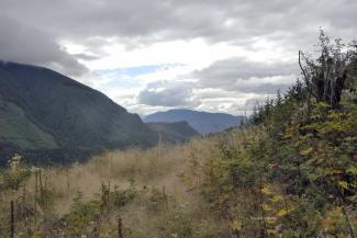 A view to the south along Norrish Creek