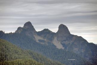 The Lions as seen from Black Mountain