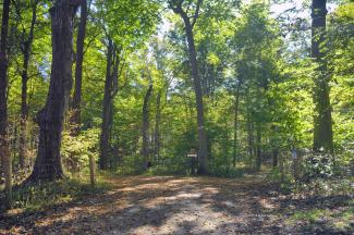 The road in John Pearce Park