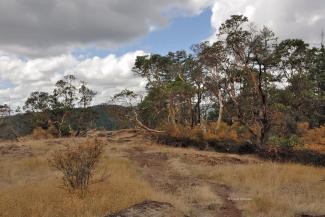 A view of the summit area