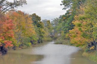 The Welland River