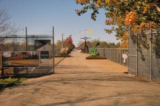 Looking into the elevated portion of the park