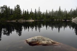Cabin Lake on the summit ridge of Black Mountain