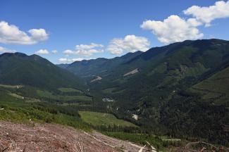 Looking north along Norrish Creek from the flank of Pattison Peak