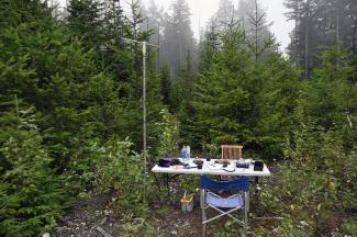 Our radio/lunch table for the day