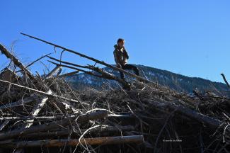Liam scouting the area from a slash pile