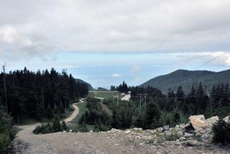 Looking back along the service road