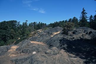 Looking upwards at the summit of Mount Work