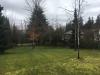 The park from the cul de sac