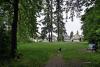 Looking back to the wide grassy area of the park
