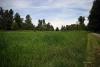 Lots of open areas and paths to walk
