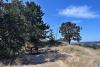 My station near the summit of Mount Tolmie