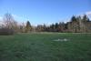 A lovely winter day! not at all normal for here