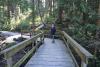 Ralph on the small foot bridge that leads to the forest trail