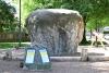 A rock to climb on