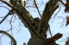 This little guy kept climbing higher to ensure he was safe from me