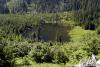 This small lake is found at the end of a decommissioned logging road in the Foley River Valley