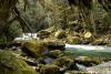 The textures and colours of this river and surrounds are beyond description. A great image of the Tamihi river nestled in a hidden little corner of the valley.