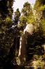 The trail up was full of beautiful rock walls and trees growing out of them in seemingly impossible locations.