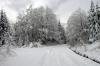 The road offered many snow filled aventures to chose from.