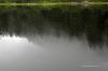 A reflection of the mist covered trees