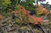The richness of the greens really set off the reds