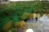 The water colour was very lovely along with the eflections