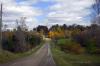 The sun peeked out at just the right spot to capture this lovely view along Erin Line