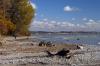 Looking east along Lake Erie from Duttona beach