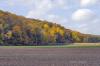 Niagara Escarpment near Winona