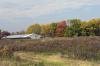A barn in Jamestown surrounded by colour