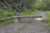 Geoff clearing the road