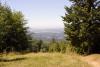 Looking down at the Frase Valley from the alpine meadow