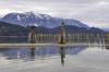 The posts at 20 mile bay