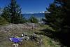 My radio station with the Cheam Range behind